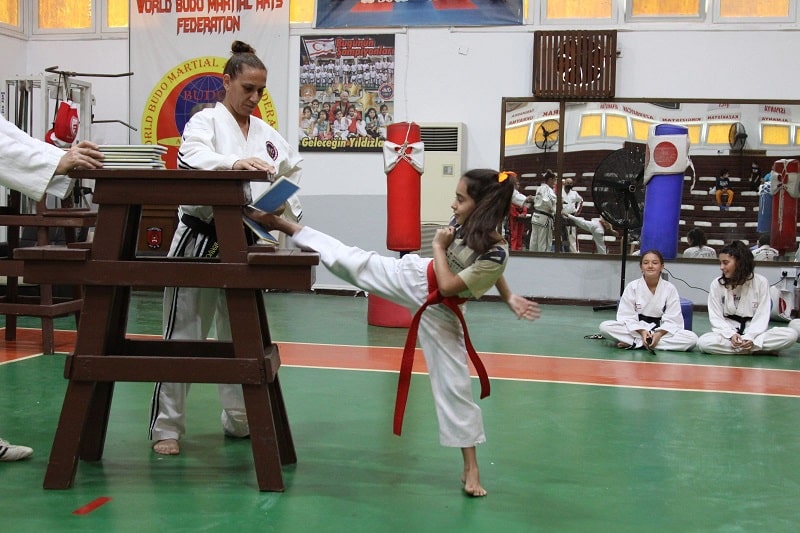 taekwondo ligi 3-min